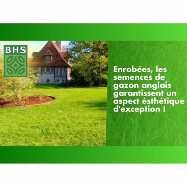 Frø BHS Gazon Anglais 10 kg