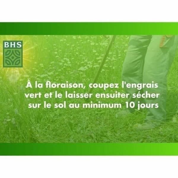 Frø BHS Trèfle Blanc 500 g