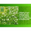 Miniatyrbillede 4 af 4: Frø BHS Trèfle Blanc 500 g