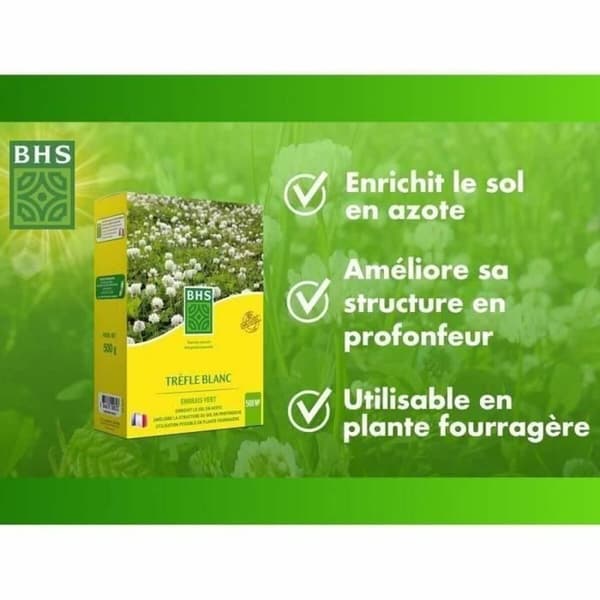 Frø BHS Trèfle Blanc 500 g