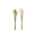Miniatyrbild 1 av 4: Bunt DKD Home Decor Beige Brun Torkad blomma (12 x 12 x 76 cm) (2 antal)