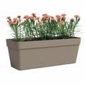 Miniatyrbild 2 av 2: Kruka Artevasi Beige-brun (taupe) 49,9 x 20 x 18,1 cm