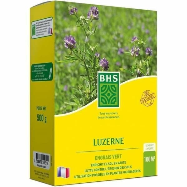 Frø BHS Luzerne
