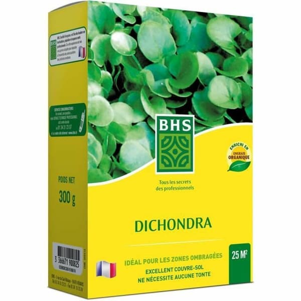 Frø BHS Dichondra