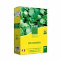 Pikkukuva 1 / 4: Siemenet BHS Dichondra