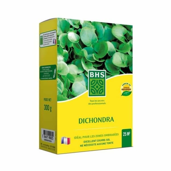 Siemenet BHS Dichondra