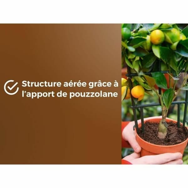 Pottekompost OR BRUN 6 L Citrus