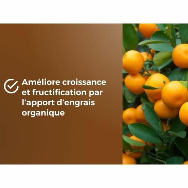 Pottekompost OR BRUN 6 L Citrus