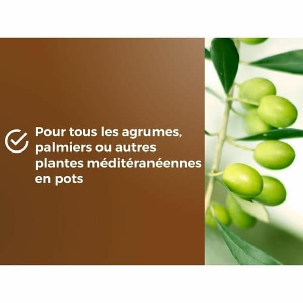 Pottekompost OR BRUN 6 L Citrus