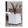Miniatyrbillede 3 af 5: Urtepotte EDA Graphit Hvid Plastik Firkantet 39 x 39 x 43 cm