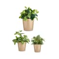 Miniatyrbillede 2 af 2: Grydesæt Ibergarden CONICO-1019 Beige Ler Cónica Ø 14 cm Ø 22 cm Ø 17 cm 3 Dele