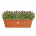 Miniatyrbillede 1 af 3: Urtepotte Elho Brun 65 x 20 x 18 cm Plastik Firkantet