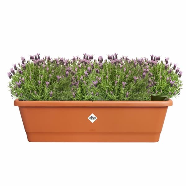 Urtepotte Elho Brun 65 x 20 x 18 cm Plastik Firkantet