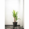Miniatyrbillede 5 af 5: Urtepotte Garden ID Sort 30 x 27 cm