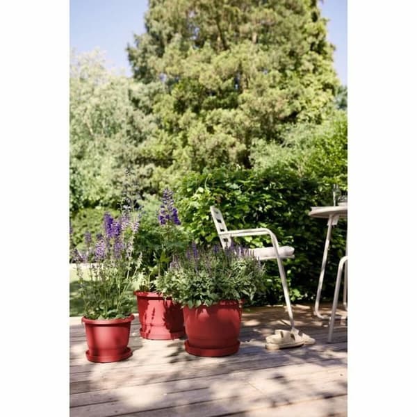 Urtepotte Elho rouge 35 x 34,5 x 26 cm