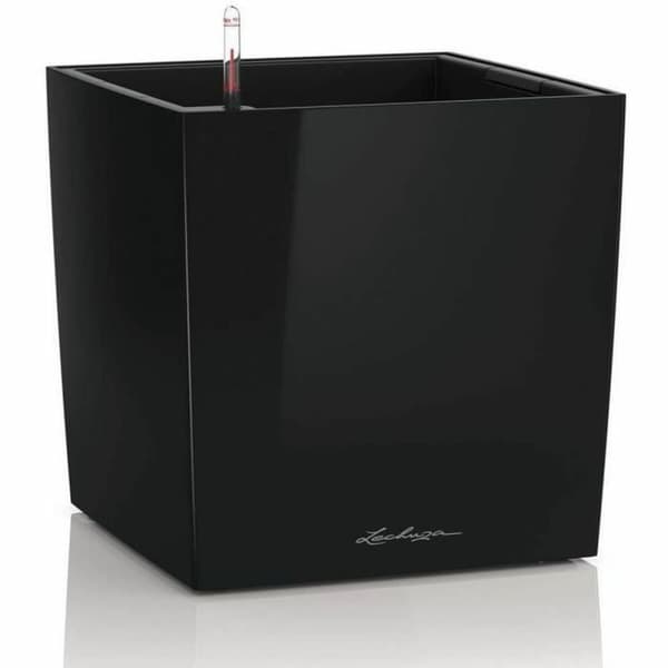 Urtepotte Lechuza 36 x 36 x 40 cm Sort polypropylen Plastik