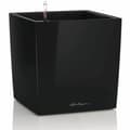 Miniatyrbillede 1 af 5: Urtepotte Lechuza 36 x 36 x 40 cm Sort polypropylen Plastik