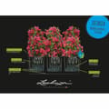 Miniatyrbillede 5 af 5: Urtepotte Lechuza 32 x 100 x 34 cm Hvid Plastik Rektangulær