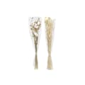 Miniatyrbillede 3 af 4: Bundt (bunch) DKD Home Decor Beige Brun Tørret blomst (12 x 12 x 76 cm) (2 enheder)