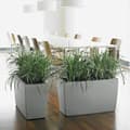 Miniatyrbillede 5 af 5: Urtepotte Lechuza 75 x 30 x 43 cm Plastik Rektangulær