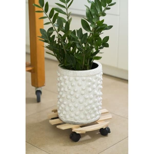 NATUR Hyllan på växter - Gran - H7,4 x Ø35 cm
