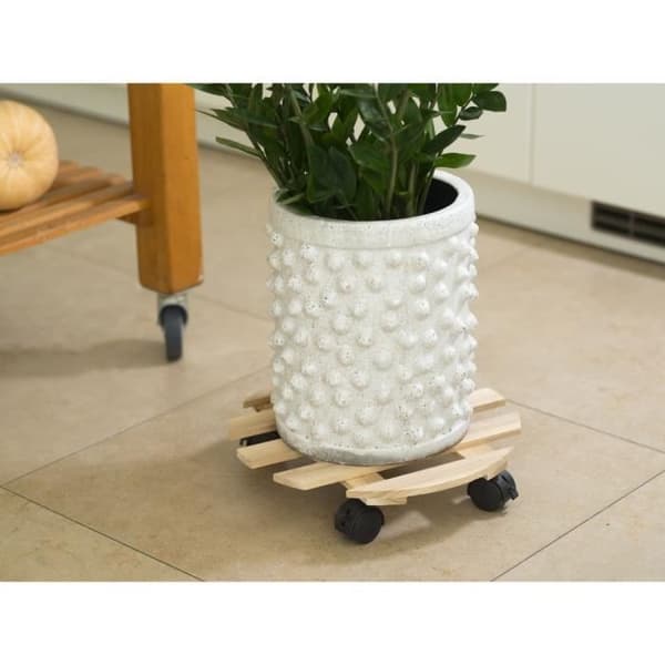 NATUR Hyllan på växter - Gran - H7,4 x Ø35 cm