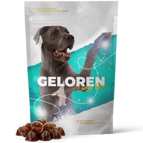 GELOREN Large Dog Joints - koiran vitamiinit - 420g