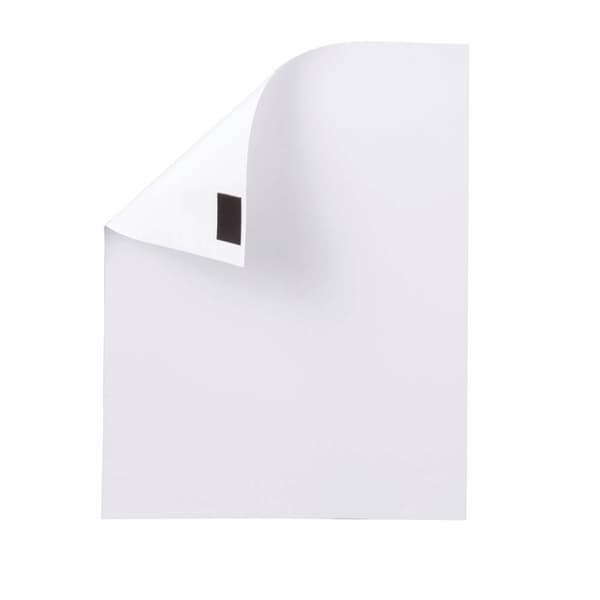 Maul Magnetband (L x B) 10 m x 35 mm Brun 10 m 6156109