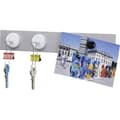 Miniatyrbild 2 av 4: Maul Magnet (Ø x H) 36 mm x 36 mm rund , med krok Vit 5 st 6158002
