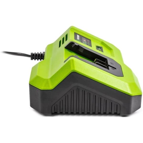Hurtigoplader - FIELDMANN - Til 20V batteri - Oplader 2Ah på 30 min - Kompatibel med 2Ah, 4Ah, 8Ah