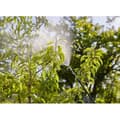 Miniatyrbild 4 av 6: GARDENA Ryggspruta 12L
