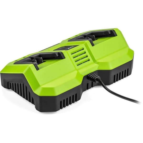 Dubbelladdare - FIELDMANN - För 20V-batterier - Laddar 2Ah på 60 min - Kompatibel med 2Ah, 4Ah