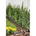 Miniatyrbillede 6 af 6: KARCHER Stik - 3 veje - Robust
