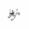 Miniatyrbillede 2 af 3: Interaktiv robot Lexibook Power Puppy Fjernbetjening