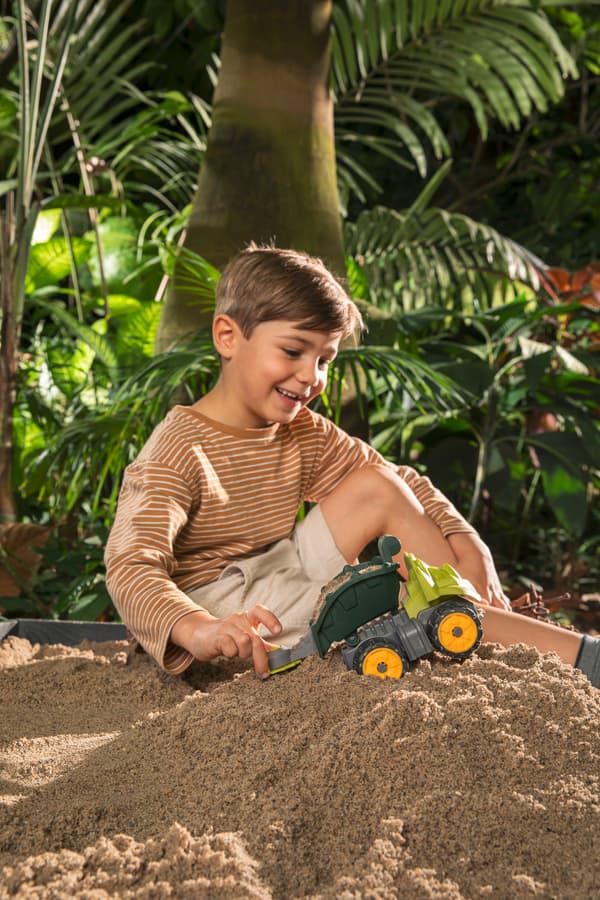 Mini Dino Triceratops Dumber BIG
