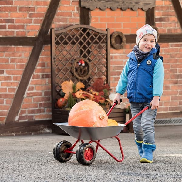 ROLLY TOYS Børnehave Trillebør Tohjulet Metal