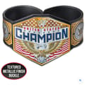 Pikkukuva 5 / 5: WWE Championship Title Slap Band Assorted Syles 1 Supplied