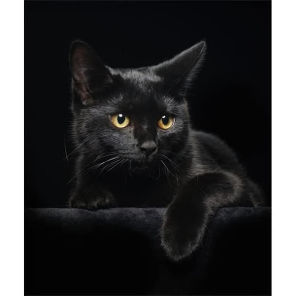 Konstverk - Diamond Dotz - Svart katt - 13 facetter - För barn från 8 år