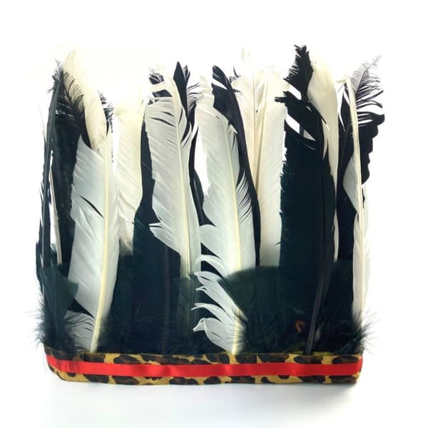 Indian headdress black and white