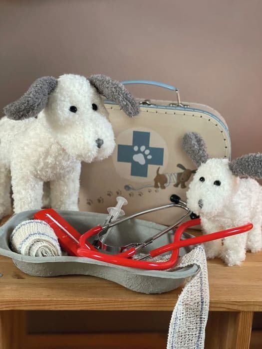 Egmont Toys - Veterinär resväska