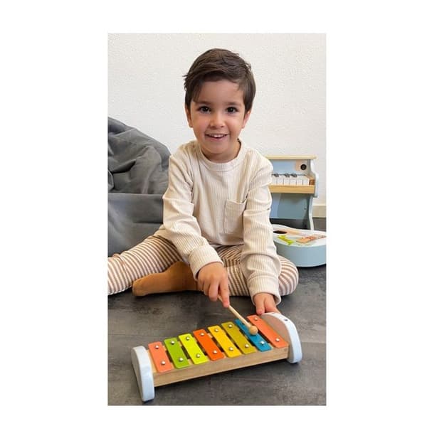Small foot company - Xylophone Groovy Beats - LEGLER