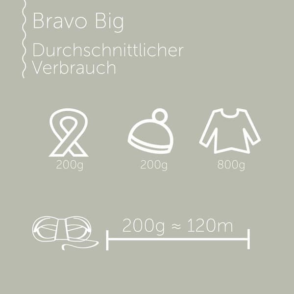 Modespel - sömnad - styling Schachenmayr - 9807705-00110 - Bravo Big, 200G taupe stickgarn