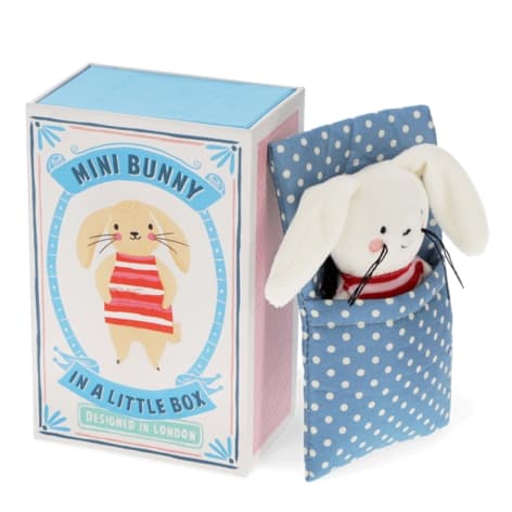 Bunny In A Little Box