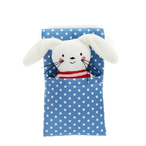 Bunny In A Little Box