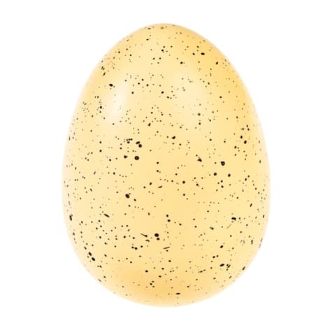 Kläckande Ägg Haj