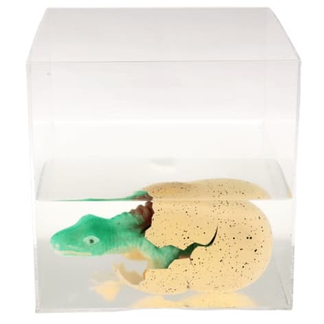Kläckande Ägg Dinosaurie