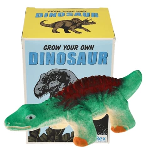 Kläckande Ägg Dinosaurie