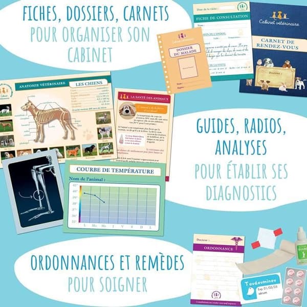 Amulet - If I Were the Veterinarian Box - Pedagogiskt spel 6 till 10 år gammalt - 70+ Tillbehör för lek och skötsel av djur