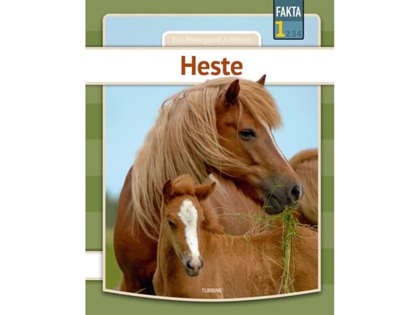 Heste | Eva Mosegaard Amdisen