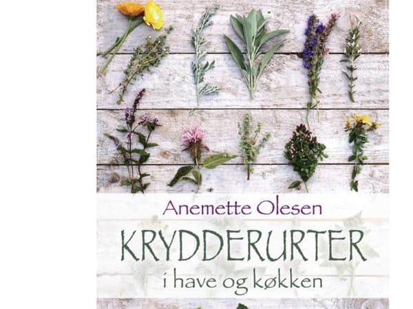 Örter i trädgård och kök | Anemette Olesen | Språk: Danska